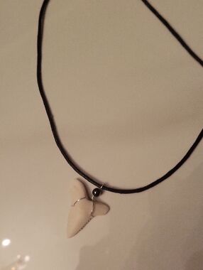 Flax Black Cord Necklace with Cream Shark Tooth Pendant